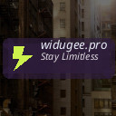 widugee.pro